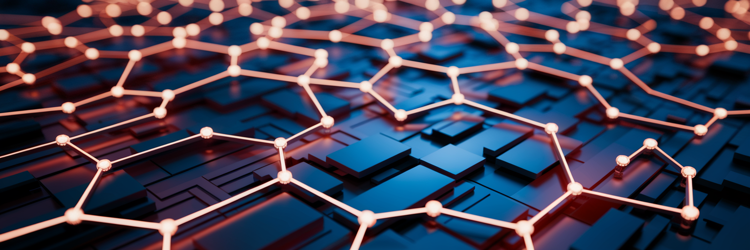 Interconnected digital pathways network structure