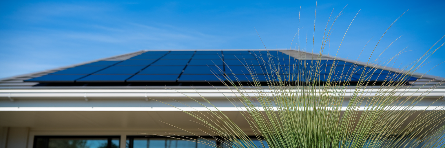 Practical Steps for a Sustainable Kiwi Home