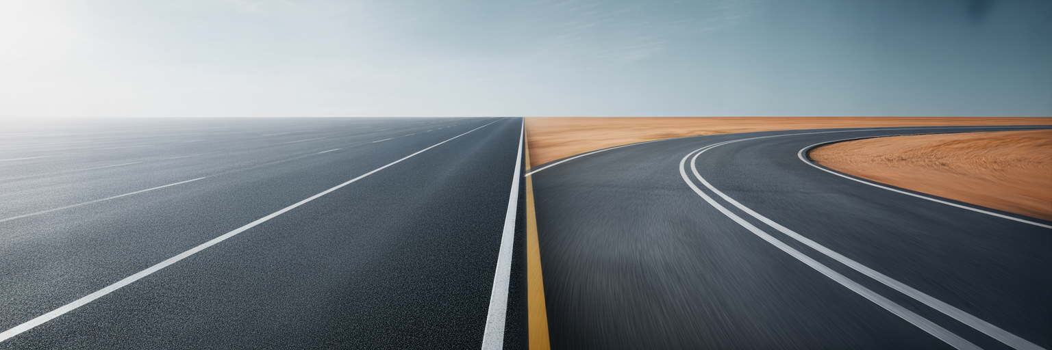 A road splitting into a smooth path and a winding path.