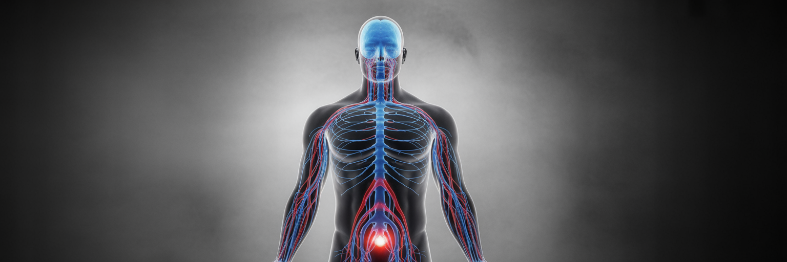 Anatomy of cold plunge response