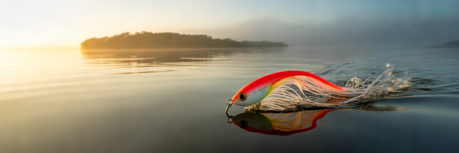 Topwater lure creating a wake in Florida.